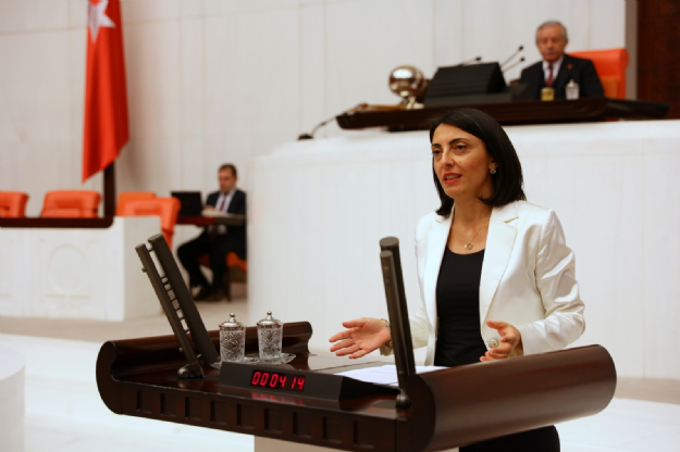 CHP Milletvekili Nurhayat Atmaca Kayışoğlu'nun Açıklaması