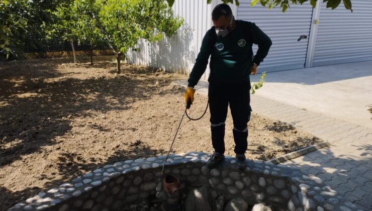 Sinekle Mücadele Tüm Hızıyla Devam Ediyor