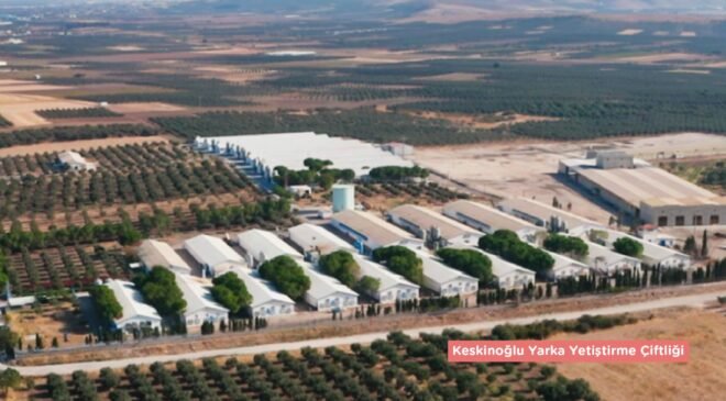 Keskinoğlu 14 Mayıs Dünya Çiftçiler Gününü Kutluyor