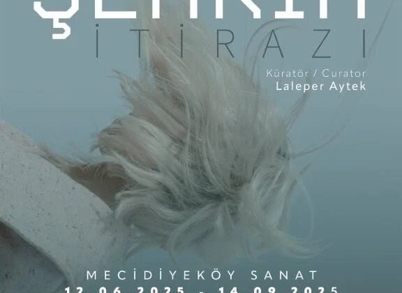 Bursa Uluslararası Fotoğraf Festivali’ndeki Eserler, İstanbullularla Bir Araya Geldi