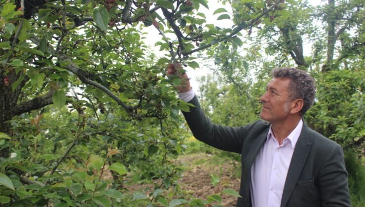 CHP Bursa Milletvekili Orhan Sarıbal’ın Açıklaması