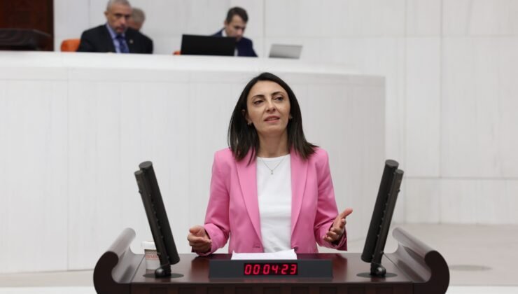 CHP Bursa Milletvekili Nurhayat Atmaca Kayışoğlu’nun Açıklaması