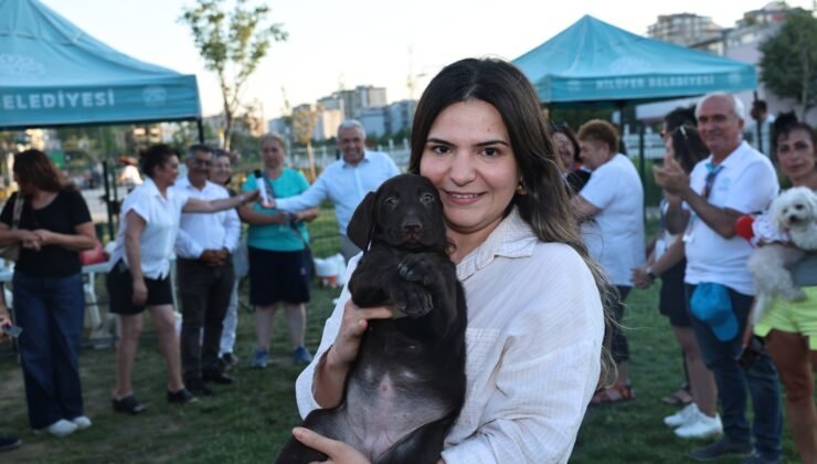 Nilüfer Bir Yuva Bir Umut Sloganıyla Sahiplendirme Şenliğinde Can Dostlar Yuvalarına Kavuştu