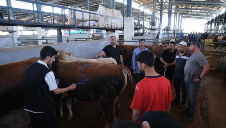 İnegöl Hayvan Pazarları İkinci Bir Emre Kadar Kapatıldı