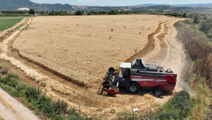 Bursa’da Büyükşehir Belediyesi Desteği ile Hasat Zamanı