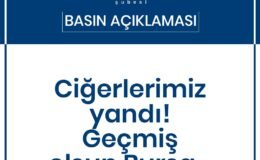 Toprağımız Ormanımız Geleceğimiz Yanıyor