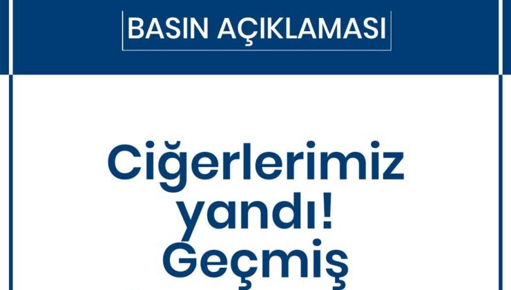 Toprağımız Ormanımız Geleceğimiz Yanıyor