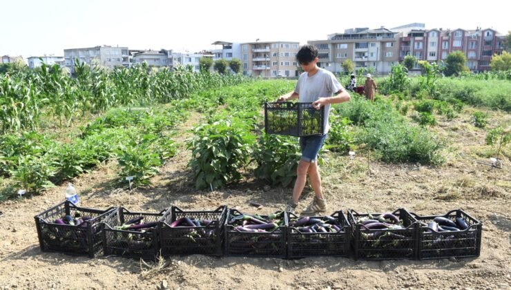 Osmangazi’de Organik Sebzeler Kent Lokantası’nda Yemeğe Dönüştü