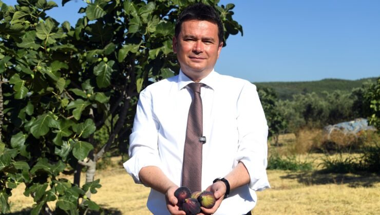 Osmangazi Belediye Başkanı Erkan Aydın: “Siyah İncirimizi Korumalıyız”