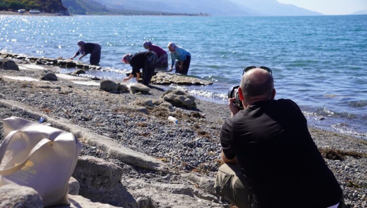 İznik’te Yüzlerce Fotoğrafçı Yarıştı