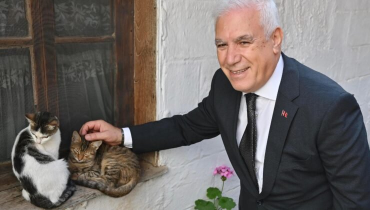 Büyükşehir Belediyesi’nden Can Dostlara Şefkat Eli