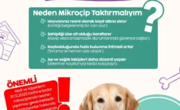 İnegöl Belediyesi’nden Evinde Köpek ve Kedi Besleyenlere Mikrojip Uyarısı