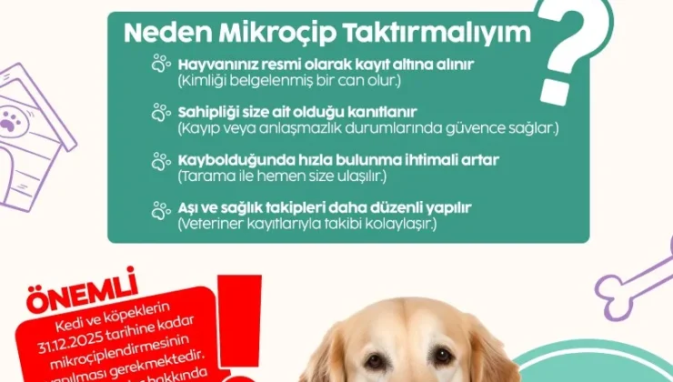 İnegöl Belediyesi’nden Evinde Köpek ve Kedi Besleyenlere Mikrojip Uyarısı
