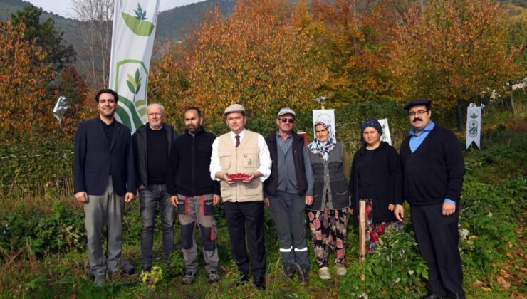 Osmangazi Belediye Başkanı Erkan Aydın “Çiftçilerimiz Örnek Bir Çalışma Ortaya Koydu”