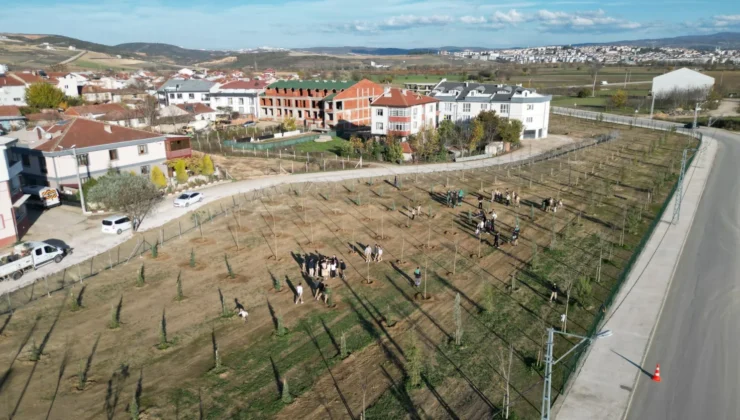 İnegöl’de 572 Fidan Koruluk Akhisar Nefes Olacak