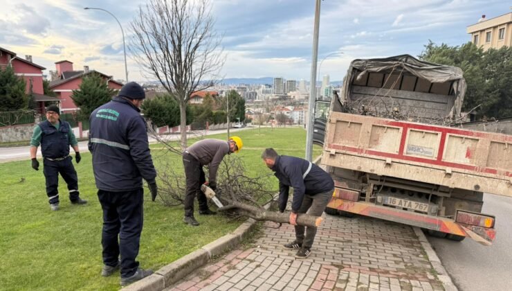 Osmangazi Belediyesi’nden Şiddetli Lodosun  Devirdiği Ağaçlara Anında Müdahale