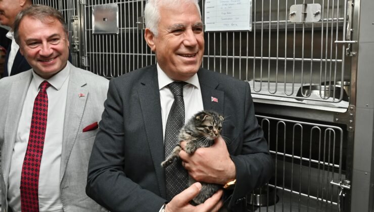 Bursa Büyükşehir Belediyesi Patili Dostların Yanında