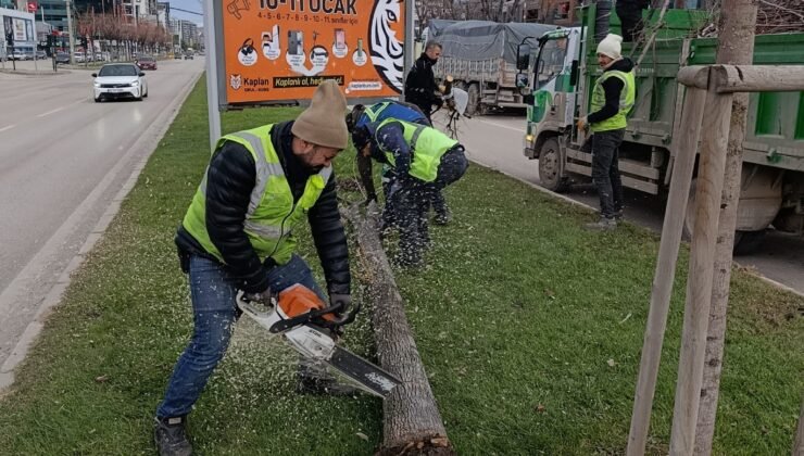 Lodosa Karşı Büyükşehir Belediye Ekipleri Sahada