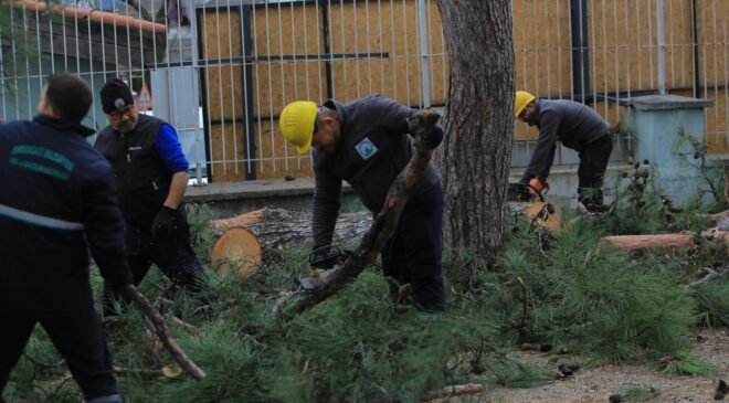 Osmangazi Belediyesi Lodosa Karşı Etkin Müdahe Gerçekleştirdi