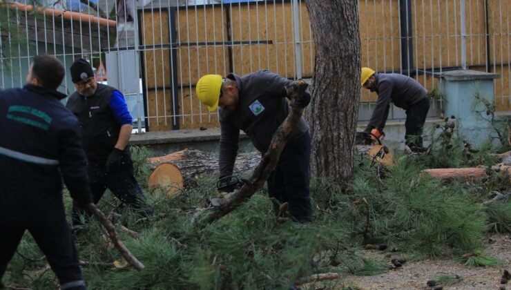 Osmangazi Belediyesi Lodosa Karşı Etkin Müdahe Gerçekleştirdi