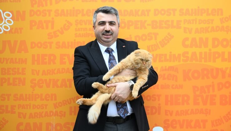 Yıldırım Belediyesi’nden Sokak Hayvanlarına Sıcak Yuva