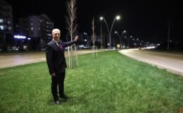 Çalı Yolu Büyükşehir Belediyesi ile Aydınlandıı