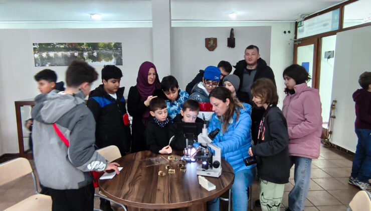 Doğa Dedektifleri İz Peşinde