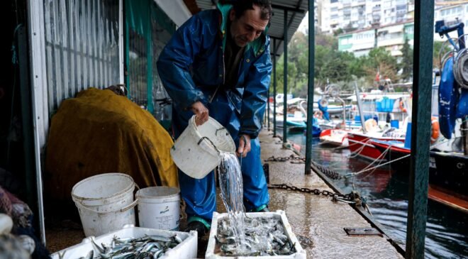 Balık Sizden Mazot Bizden