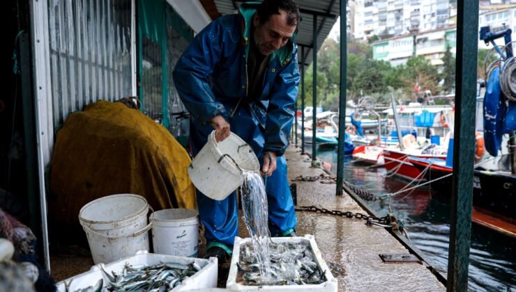 Balık Sizden Mazot Bizden
