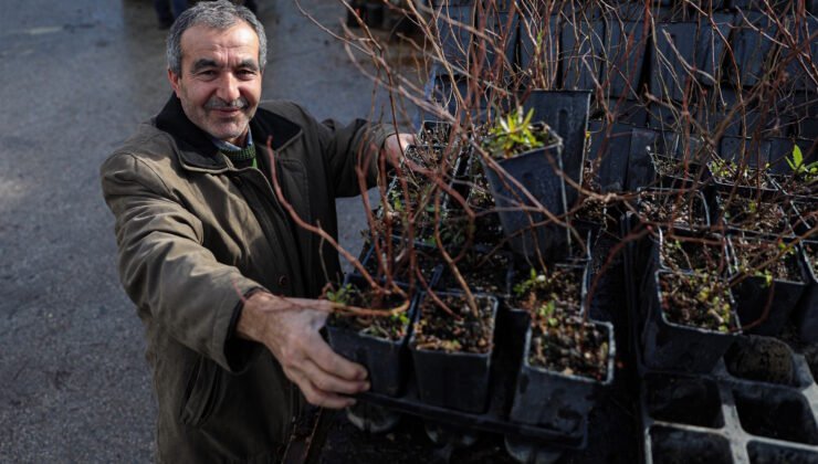 Büyükşehir Belediyesi’yle Kırsal Büyüyor Çiftçi Güçleniyor