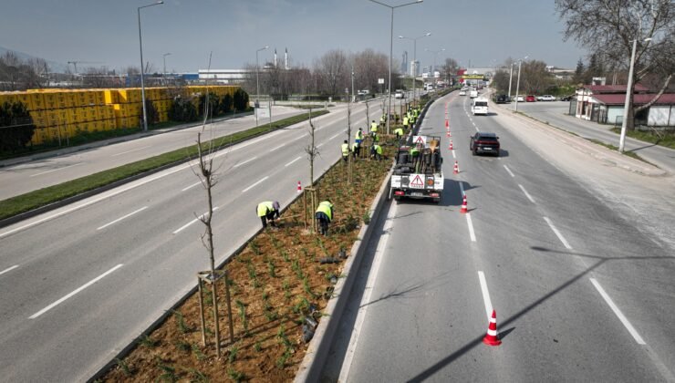 Bursa’da Cadde ve Bulvarlara Estetik Dokunuş