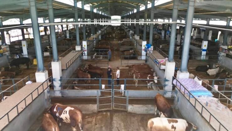 İnegöl Belediyesi Hayvan Pazarının Kurban Bayramı Kotra İhale Tarihi Belli Oldu