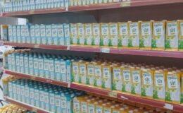 Yörsan Afrika Pazarına Açıldı