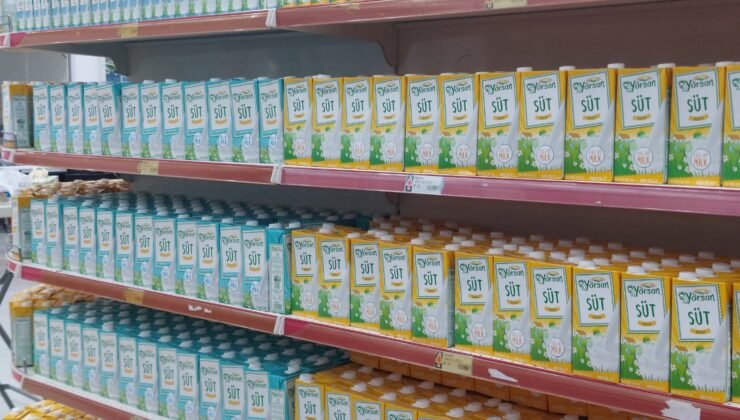 Yörsan Afrika Pazarına Açıldı