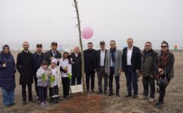 İznik’te Yeni Yaşam Alanında Çınar Ağaçları Yükselecek