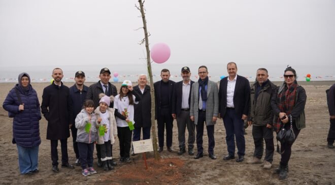 İznik’te Yeni Yaşam Alanında Çınar Ağaçları Yükselecek