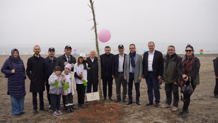 İznik’te Yeni Yaşam Alanında Çınar Ağaçları Yükselecek