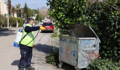 Büyükşehir Belediyesi Sinek ve Haşereyle Etkin Mücadele