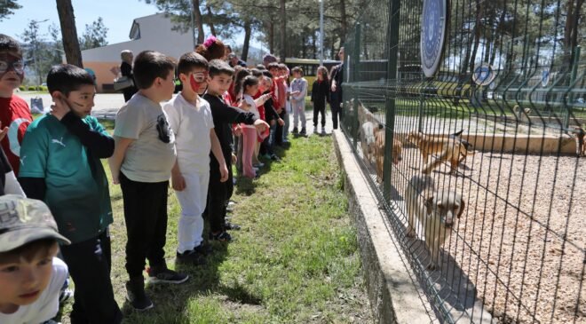 Bursa’da Çocuklar Patili Dostlarla Bir Araya Geldi