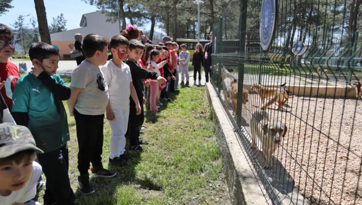 Bursa’da Çocuklar Patili Dostlarla Bir Araya Geldi