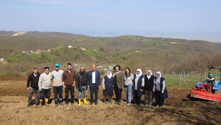 Nilüfer’de Atıl Araziler Bereketleniyor