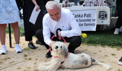 Nilüfer’de Sahiplendirme Şenliğinde Can Dostlara Yeni Yuva