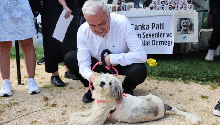 Nilüfer’de Sahiplendirme Şenliğinde Can Dostlara Yeni Yuva