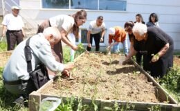 Nilüfer’de Yaşlılar Meyve ve Sebze Fidelerini Toprakla Buluşturdu