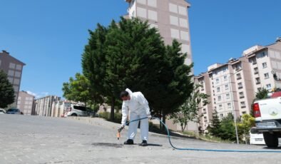 Osmangazi Belediyesi Haşerelere Karşı Etkin Mücadeleye Devam Ediyor