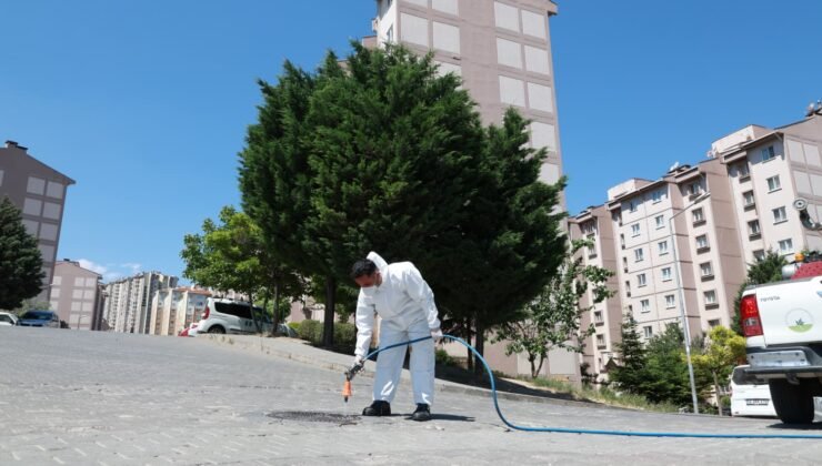 Osmangazi Belediyesi Haşerelere Karşı Etkin Mücadeleye Devam Ediyor
