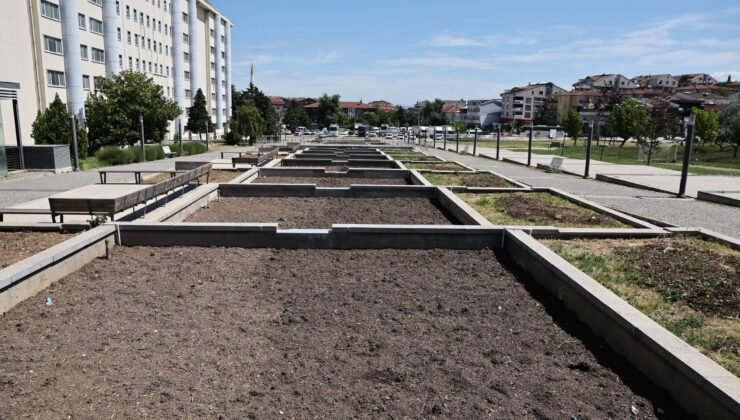 Nilüfer’de Atık Süs Havuzları Kent Bahçesine Dönüşüyor