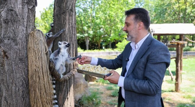 Büyükşehir Belediyesi Başkan Vekili Şahin Biba’dan Hayvanat Bahçesine Ziyaret