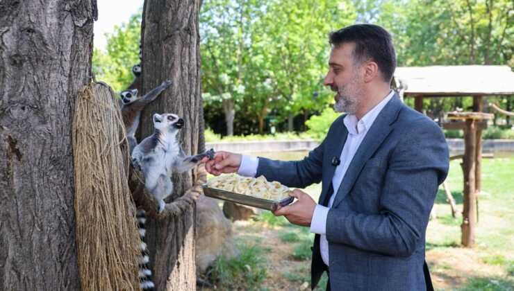Büyükşehir Belediyesi Başkan Vekili Şahin Biba’dan Hayvanat Bahçesine Ziyaret