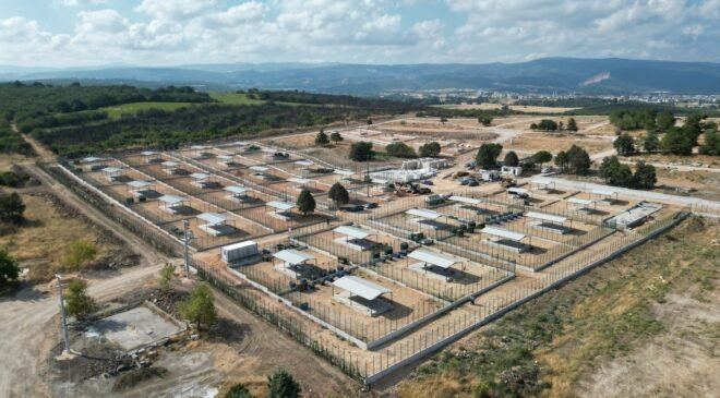 Büyükşehir Belediyesi’nden Sokak Hayvanlarına Yeni Yuva
